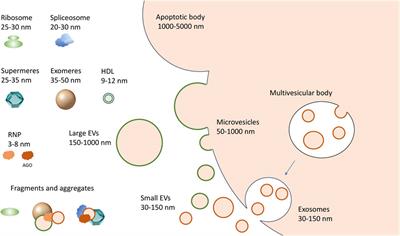 Challenges in characterization of transcriptomes of extracellular vesicles and non-vesicular extracellular RNA carriers